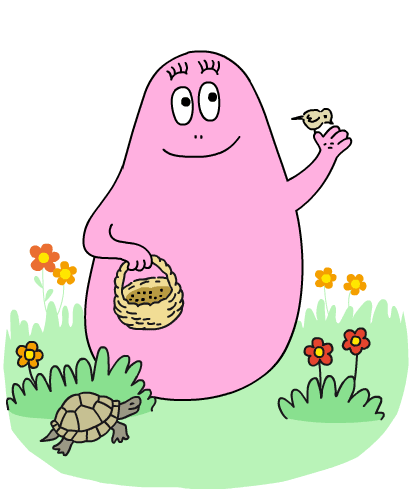 Happy-birthday-barbapapa!! Mit Schildkröte